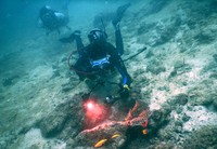 Penyelam melakukan ekplorasi bawah laut di Pulau Nasi.