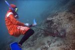 Melihat Cara Anak Pulau Nasi Mencari Gurita