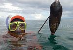 Melihat Cara Anak Pulau Nasi Mencari Gurita