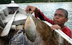 Melihat Cara Anak Pulau Nasi Mencari Gurita
