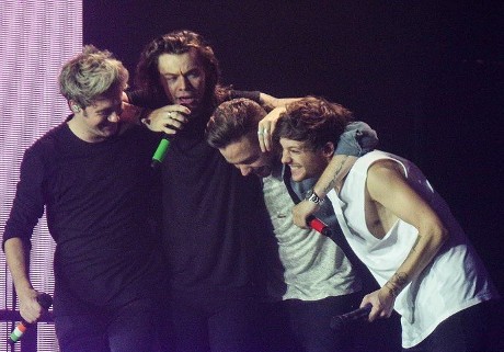 One Direction Vakum 2 Tahun