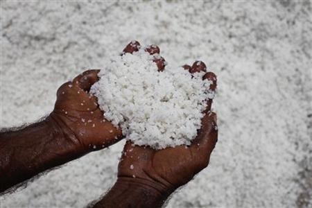 Bebaskan Lahan Garam di NTT, Investor Harus Berjuang 6 Tahun