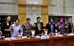 Pansel Capim KPK Rapat Dengan Komisi III