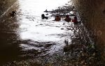 Sampah di Pintu Air Manggarai Dibersihkan
