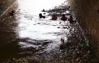 Petugas membersihkan sampah di pintu air Manggarai. Pool/Alfathir Yulianda/detikFoto.