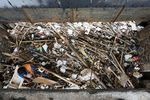 Sampah di Pintu Air Manggarai Dibersihkan