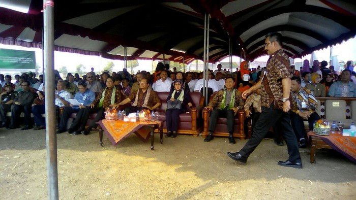 Pantai Indramayu Kotor, Rizal Ramli Minta Bupati Tiru Cara Ahok