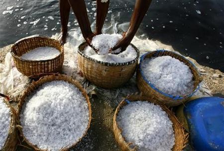 NTT Akan Dikembangkan Menjadi Sentra Industri Garam