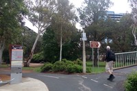 Taman Commonwealth luasnya mencapai 34,5 hektar. Taman tersebut tampak bersih dan rapi, sehingga asyik untuk bersantai ataupun berolahraga (Feby/detikTravel)