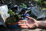 Parkir Sembarangan, Pentil Motor Dicabut