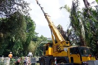 Alat berat dikerahkan untuk mengangkat hexapod ke tengah sungai. Pool/Alfathir Yulianda/detikFoto.