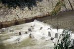 Pemasangan Hexapod di Kali Ciliwung