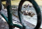 Pemasangan Hexapod di Kali Ciliwung
