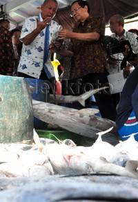 Rizal Ramli mengunjungi nelayan di Indramayu, Jawa Barat. Pool/Kemenko Maritim.
