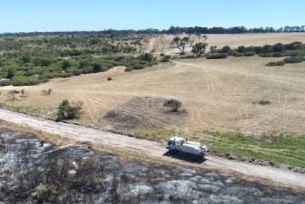 Pekerja Asing Tewas di Australia Barat Karena Ingin Selamatkan Kuda