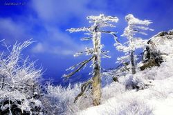 Jepretan Pemandangan Alam Memukau Bagai Lukisan