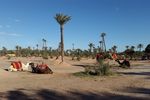 Eksotisme Marrakesh yang Menghipnosis