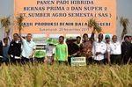 Mentan Panen Raya di Subang