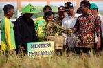 Mentan Panen Raya di Subang
