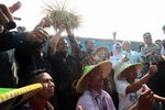 Mentan Panen Raya di Subang