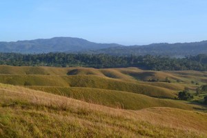 Bukit Teletubbies Juga Ada di Kendari, Sulawesi Tenggara