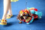 Anjing Berlenggak-lenggok Bak Model di Atas Catwalk