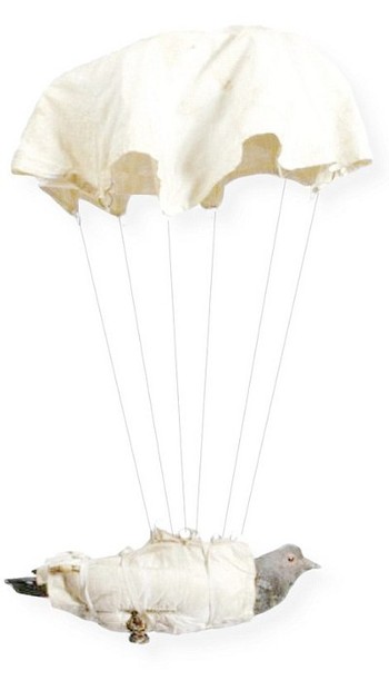     Merpati dari Inggris diselundupkan dengan parasut ke penduduk lokal yang ingin membocorkan informasi. Informasi ditulis di surat dan dikirim dengan merpati itu. (istimewa/imperialwarmuseum)