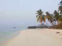 Walaupun Pulau Jaam bukan tujuan wisata utama di Misool, traveler yang ingin berkunjung boleh datang kemari asal minta izin terlebih dahulu. Pulau Jaam ini termasuk salah satu spot untuk diving bareng hiu (Kurnia/detikTravel)
