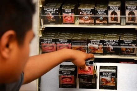 Oposisi Australia Usulkan Harga Rokok Rp 400 Ribu per Bungkus
