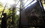 Beragam Flora di Taman Nasional Gede Pangrango