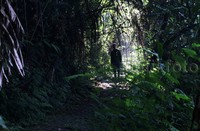 Track atau jalan yang dilalui juga sudah terbilang cukup enak, meskipun terjal dan berlicin.