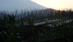 Off Road di Kaki Gunung Gede Pangrango