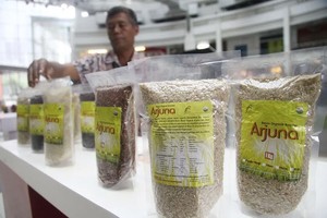 Ada Berapa Varietas Padi di RI, Ini Penjelasannya