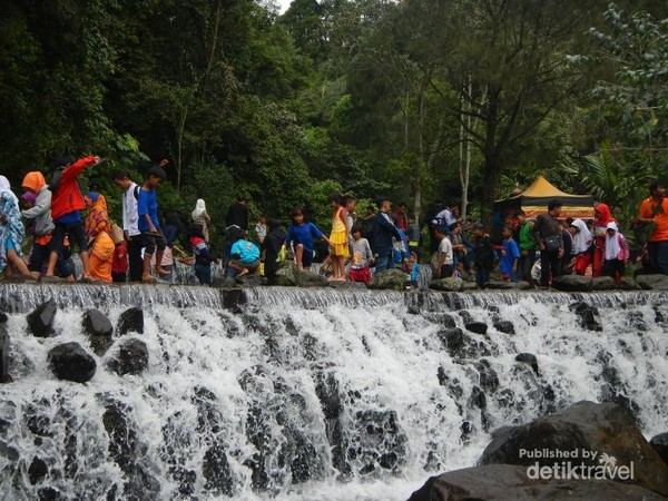 Curug Cibogo & Ciismun, 2 Air Terjun Cantik di Cibodas