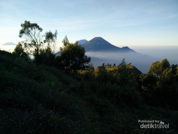 Perjuangan Menikmati Sunrise di Puncak Gunung Prau