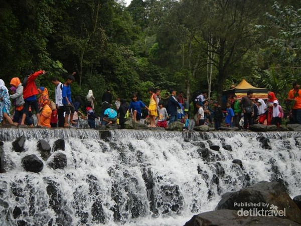 Sudut Sudut Cantik Kebun Raya Cibodas