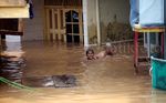 Kampung Pulo Terendam Banjir