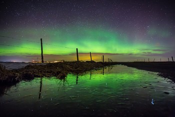 Perpaduan warna yang cantik dan ribuan bintang di langit malam.  (kredit foto: Neil Zeller)