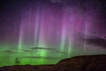 Namun untuk bisa mendapatkan foto cahaya aurora, dibutuhkan kemauan keras untuk keluar di kegelapan malam, kurang tidur, dan tidak ada jaminan bahwa cahaya akan muncul. (kredit foto: Neil Zeller)