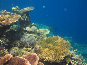 Catat! Kecantikan Bali Tidak Cuma di Bagian Selatan