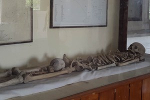 Ada Kerangka Manusia Purba di Gilimanuk!