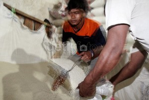 Produksi Beras Surplus, Kok Harga Beras Naik?
