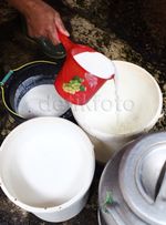 Produksi Stagnan, Impor Susu Masih Tinggi