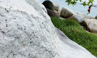 Wisatawan menikmati keindahan Pantai Tanjung Tinggi.