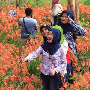 Mau Selfie Kenapa Rusak Taman Bunga?