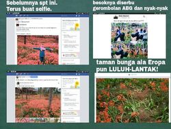 Meme Sentil Perusak Taman Bunga Gunungkidul