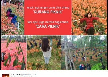 Piknik dengan benar.