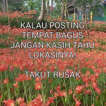 Beberapa meme memberi saran.