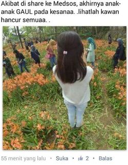 Meme Sentil Perusak Taman Bunga Gunungkidul