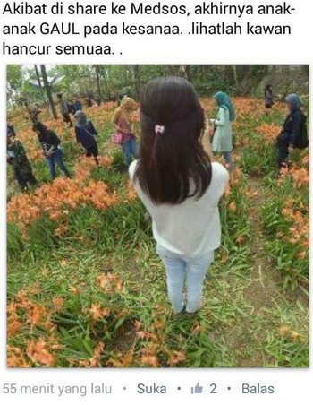 Banyak yang menyesalkan mengapa taman bunga yang indah itu rusak dalam waktu singkat.